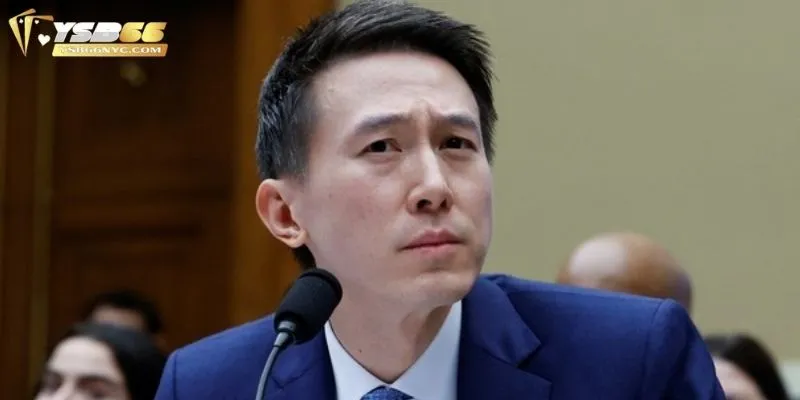 Kiến thức chuyên sâu của CEO trong thị trường cá cược