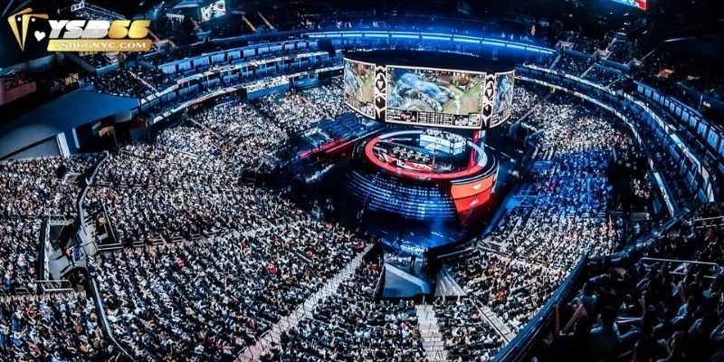 Một vài bí kíp tham gia cá cược esport hay cho newbie