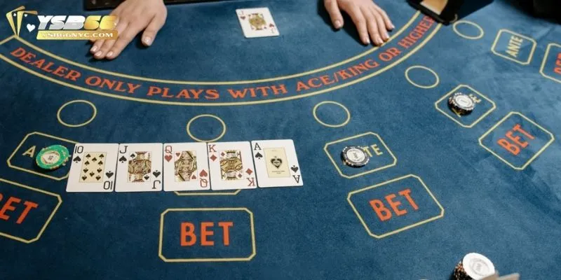 Chi tiết cách hoạt động của tool dự game bài Baccarat