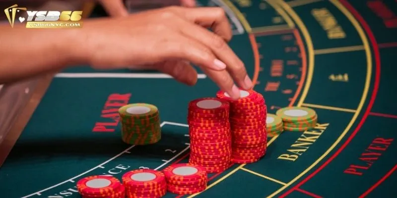 TOP các loại tool Baccarat được nhiều người sử dụng nhất