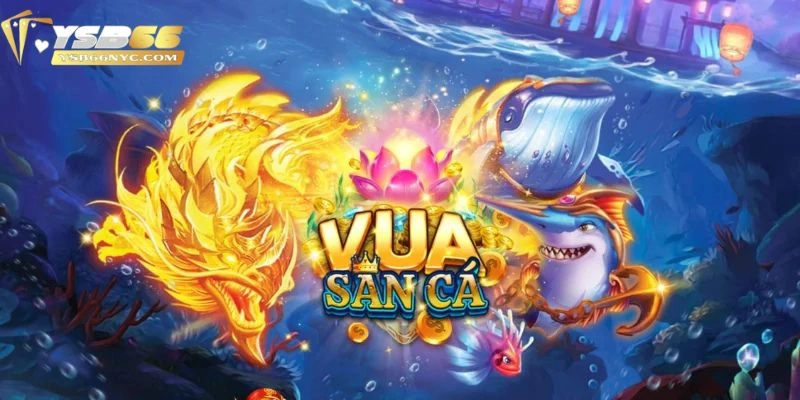 Tìm hiểu về vua săn cá YSB66